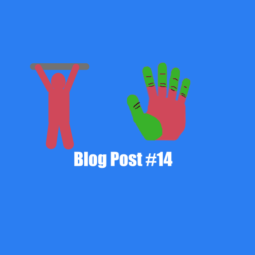 Blog Post #14